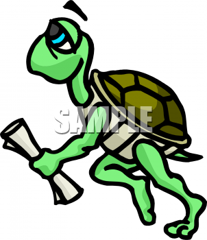 Tortoise Clipart