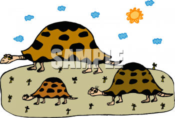 Tortoise Clipart