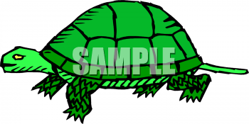 Tortoise Clipart