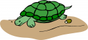 Tortoise Clipart