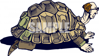 Tortoise Clipart