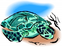 Tortoise Clipart