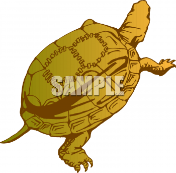 Tortoise Clipart