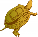 Tortoise Clipart