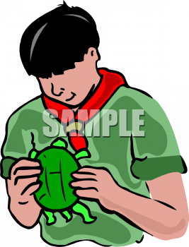 Tortoise Clipart