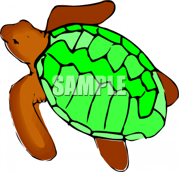 Tortoise Clipart