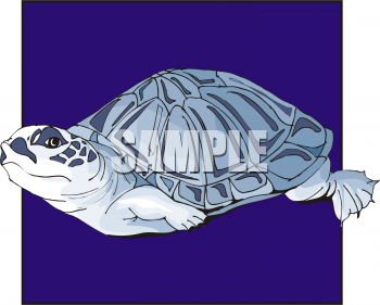 Tortoise Clipart