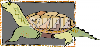 Tortoise Clipart