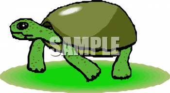 Tortoise Clipart