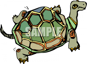 Tortoise Clipart