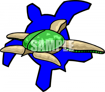 Tortoise Clipart