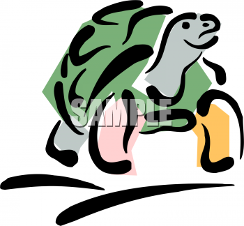 Tortoise Clipart