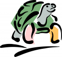 Tortoise Clipart