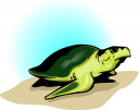 Tortoise Clipart