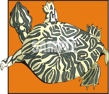 Tortoise Clipart