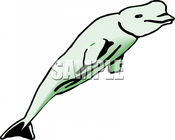 Dolphin Clipart