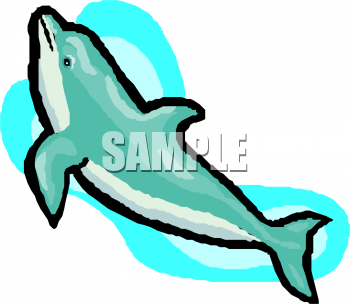 Dolphin Clipart