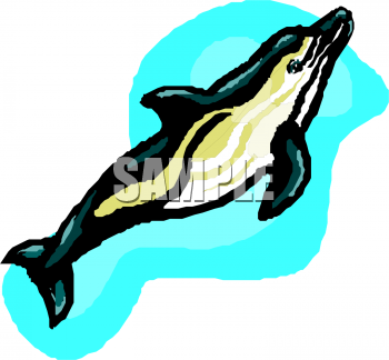 Dolphin Clipart