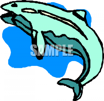 Dolphin Clipart