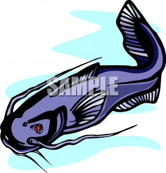 Catfish Clipart