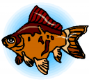 Fish Clipart