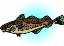 Fish Clipart