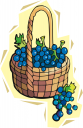 Grape Clipart