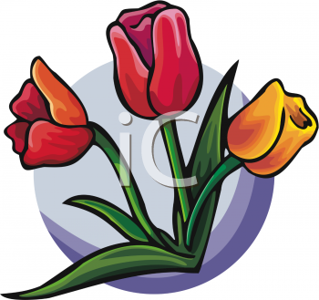 Tulip Clipart