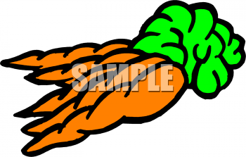 Carrot Clipart