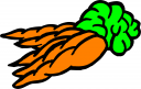 Carrot Clipart