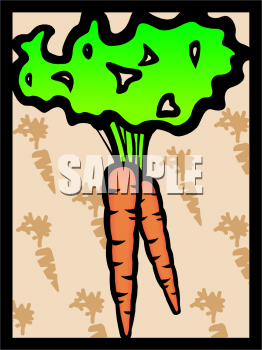 Carrot Clipart