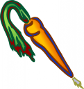 Carrot Clipart