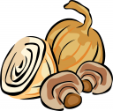 Onion Clipart