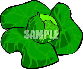 Vegetables Clipart