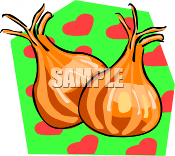 Turnip Clipart