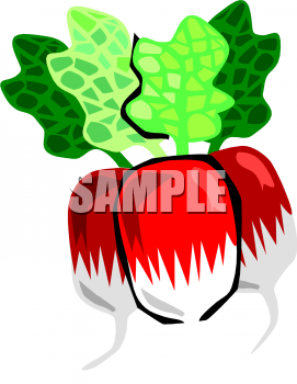 Vegetables Clipart