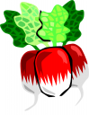 Vegetables Clipart