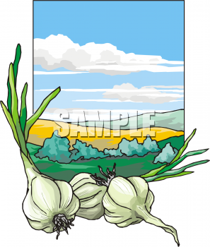 Produce Clipart