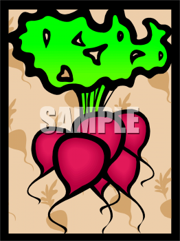 Turnip Clipart