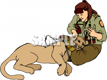 Cougar Clipart