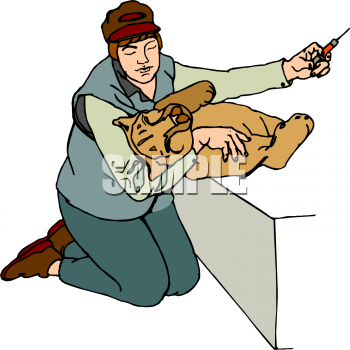 Cougar Clipart