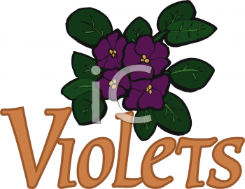 Violet Clipart