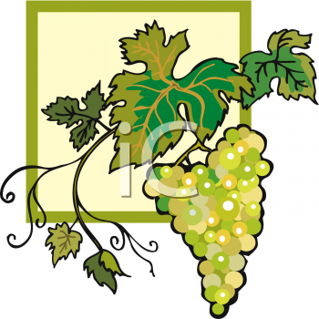 Grape Clipart