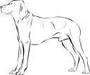 Dog Clipart