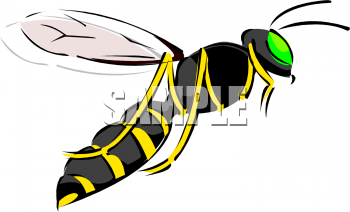 Bug Clipart