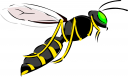 Bug Clipart