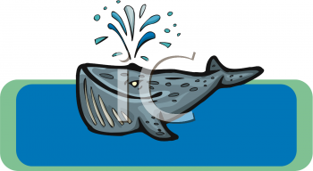 Whale Clipart