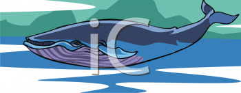 Whale Clipart