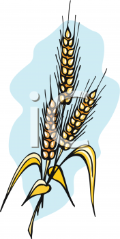 Wheat Clipart