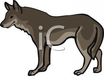 Royalty Free Wolf Clipart